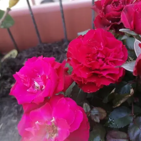 Tra E Montagne Nonna Maria Lägenhet