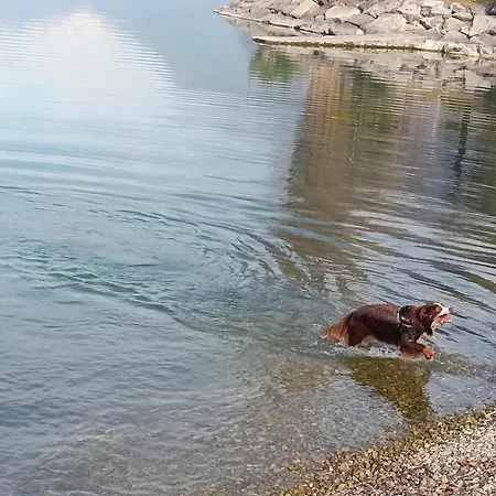 Tra E Montagne Nonna Maria * Dubino