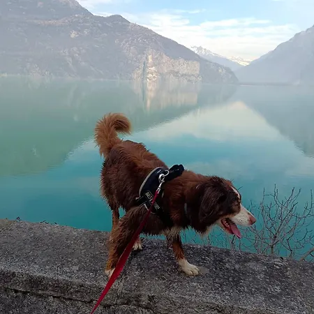 Tra E Montagne Nonna Maria Lägenhet *