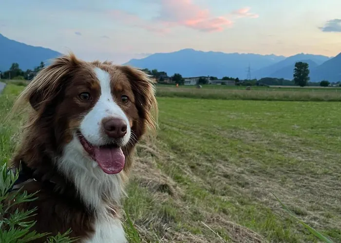 Tra E Montagne Nonna Maria * Dubino