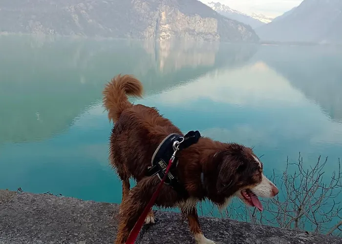 Tra E Montagne Nonna Maria Apartamento *
