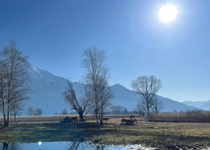 Daire Tra E Montagne Nonna Maria