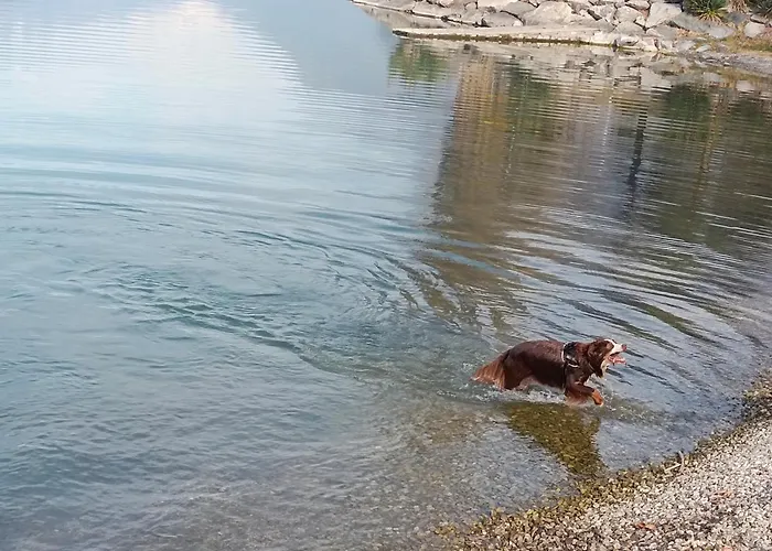 Tra E Montagne Nonna Maria * Dubino