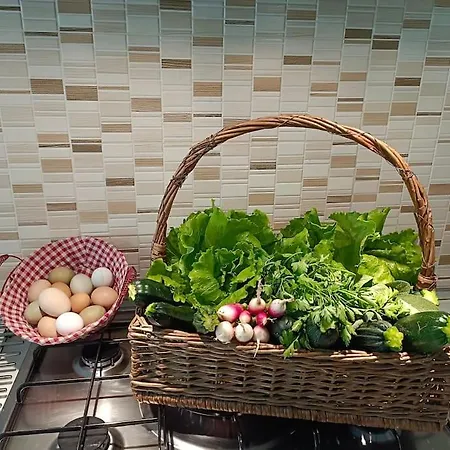 Appartement Tra E Montagne Nonna Maria Dubino