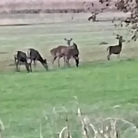 Tra E Montagne Nonna Maria * Dubino