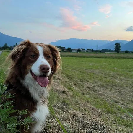 Tra E Montagne Nonna Maria * Dubino