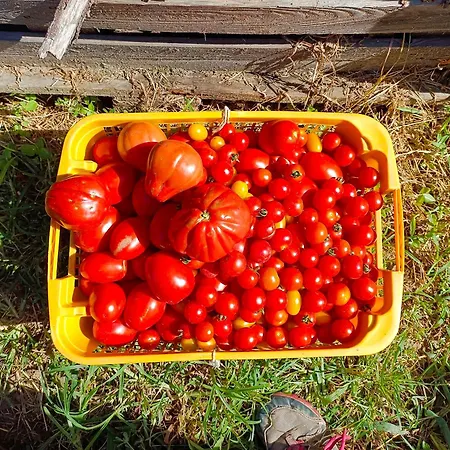 Tra E Montagne Nonna Maria Appartement *